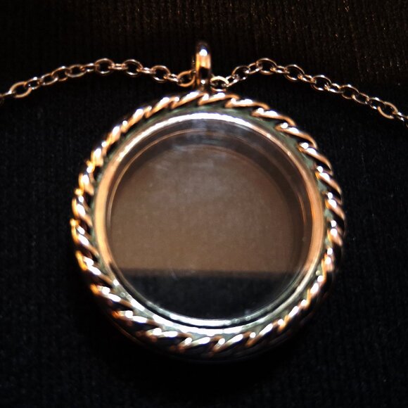 See-Through Locket and a Pair of Nautical and Geometric Drop Leaf Earrings - Picture 2 of 14